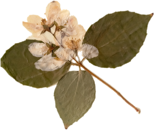 @taisha's Pin Board Image