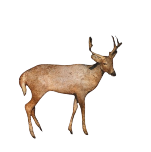 @weaponx's Pin Board Image