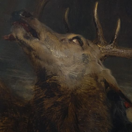 @weaponx's Pin Board Image