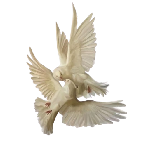 @weaponx's Pin Board Image