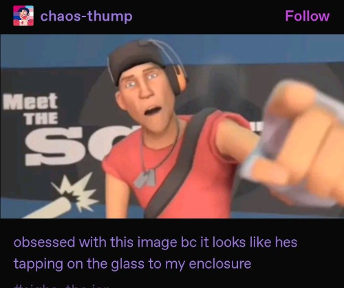 @MantaMagnolia's Pin Board Image