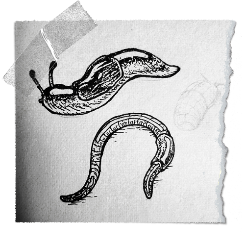 @sketchbookofnull's Pin Board Image
