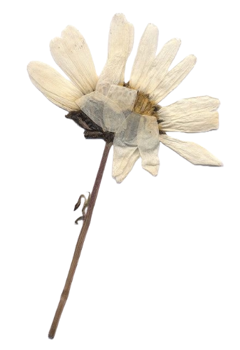 @ferryman's Pin Board Image