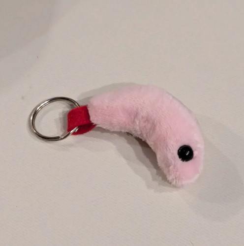 @wanya's Pin Board Image