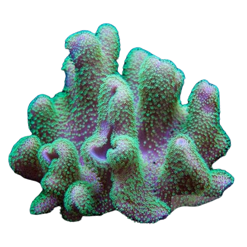 @Styllwaters's Pin Board Image