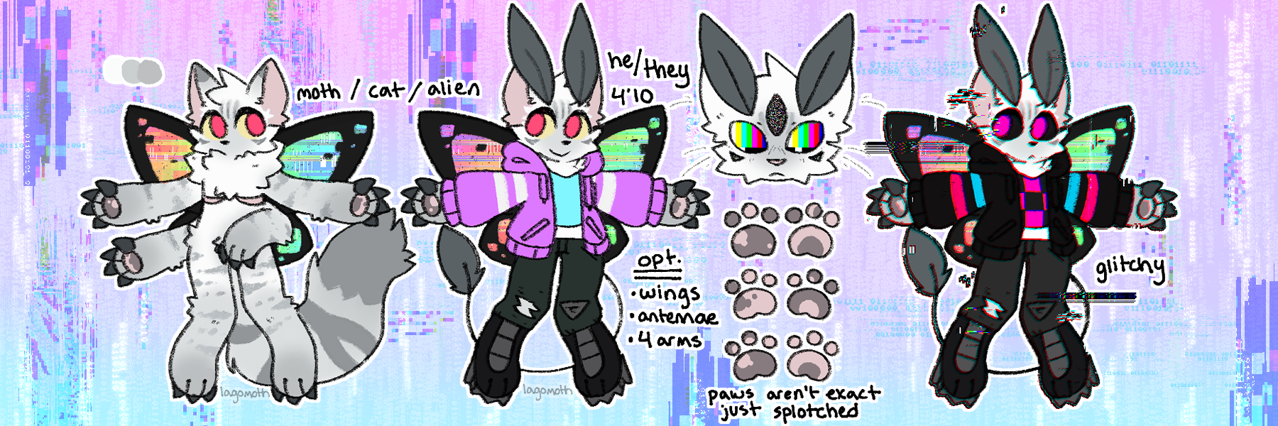 mothcat ref sheet