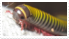 @aquapede's Pin Board Image