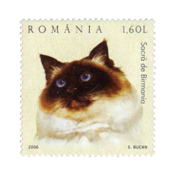 @nudnikheadache's Pin Board Image