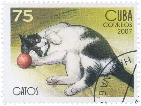 @nudnikheadache's Pin Board Image