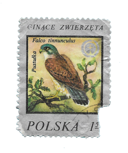 @nudnikheadache's Pin Board Image