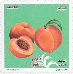 @nudnikheadache's Pin Board Image