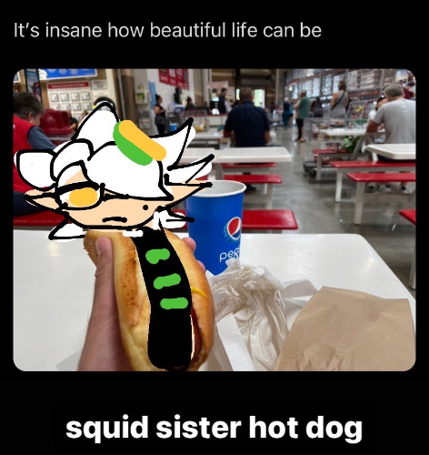 @splatoon2's Pin Board Image