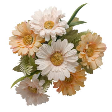 GallusGallous's Page Doll