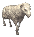Link to: https://sheezy.art/sheepie