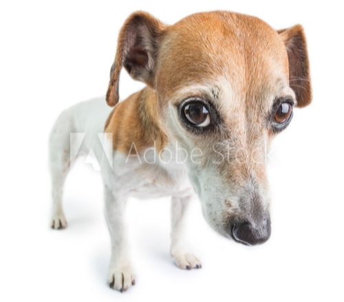 @Florashyxd's Pin Board Image