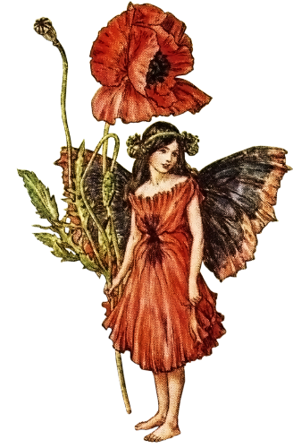 Link to: https://flowerfairies.com/