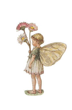 Link to: https://flowerfairies.com/