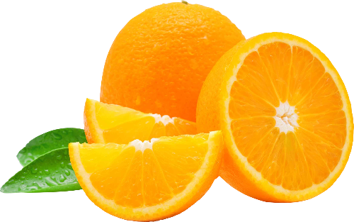 @AveractiAquarium's Pin Board Image