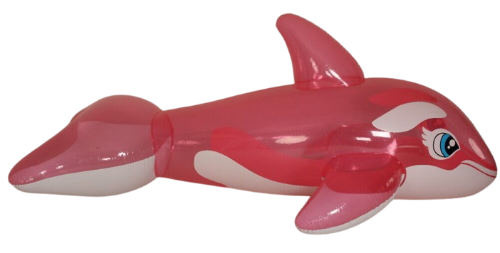 @AveractiAquarium's Pin Board Image