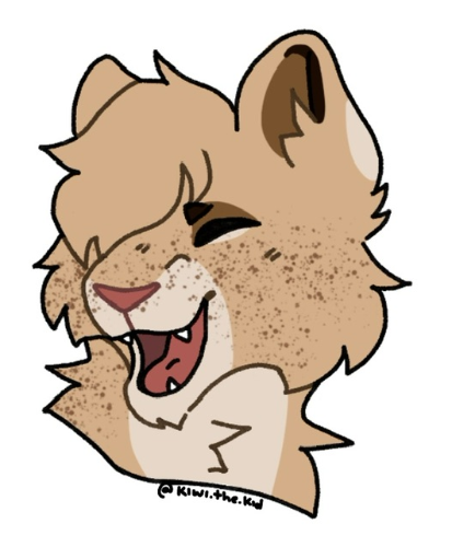 Link to: https://toyhou.se/Kiwi_the_kid