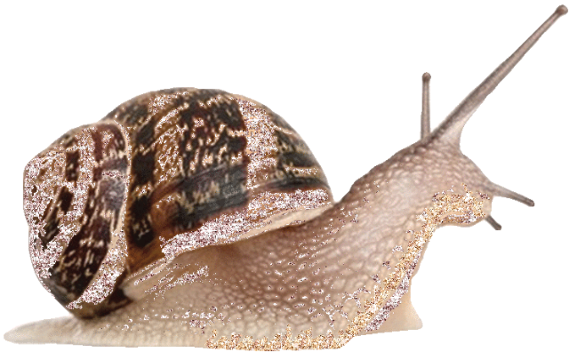 PeachyFlorcita's Page Doll