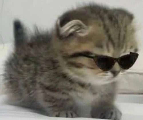 @Discosnax's Pin Board Image