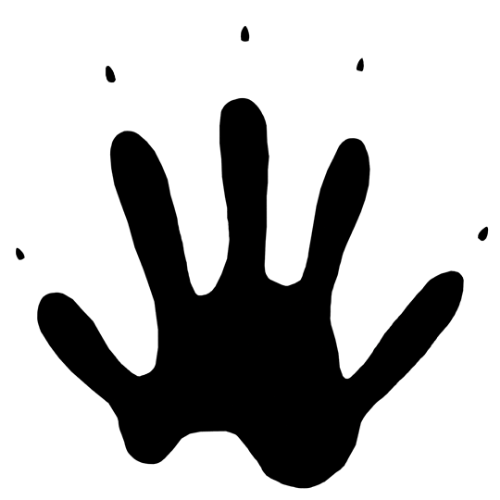 @Discosnax's Pin Board Image