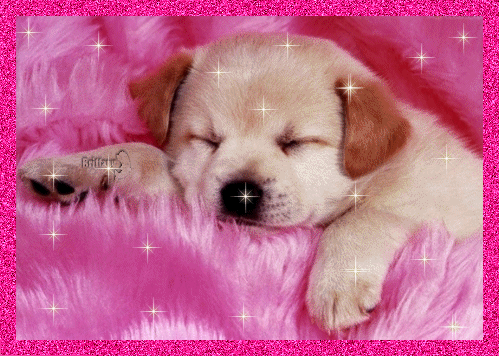 @purgatory_pup's Pin Board Image