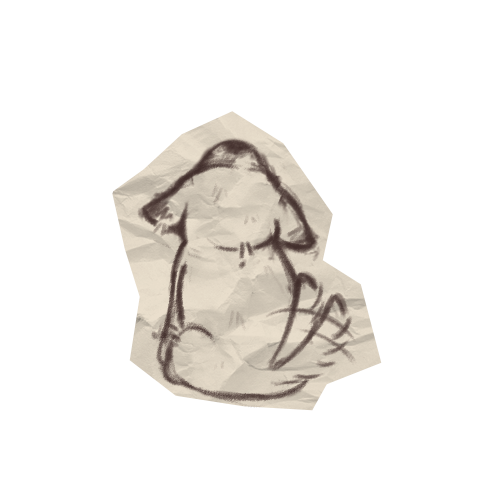 @webcamobscura's Pin Board Image