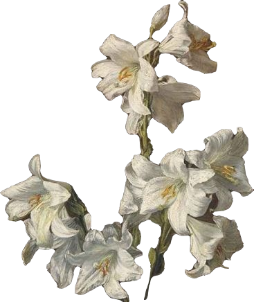 @yatomori's Pin Board Image