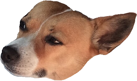 @Janssi's Pin Board Image