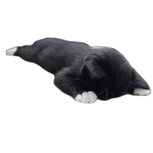 Mithmeoi's Page Doll