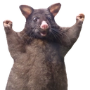 @Snacks's Pin Board Image