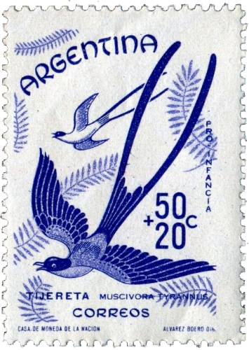 @klance's Pin Board Image