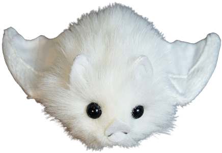 @klance's Pin Board Image