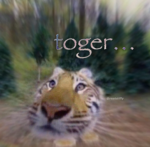 @DragonCatSongArt's Pin Board Image