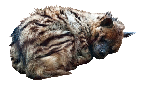 @sphinxate's Pin Board Image