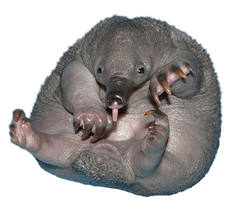 @sphinxate's Pin Board Image