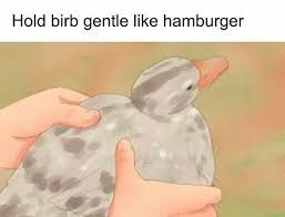 @DragonCatSongArt's Pin Board Image