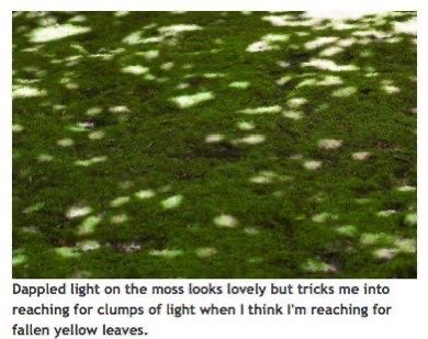 @kije732's Pin Board Image