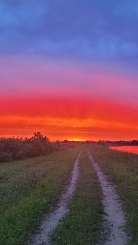 @kije732's Pin Board Image