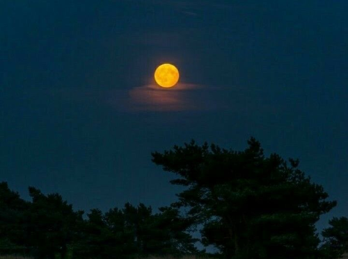 @kije732's Pin Board Image