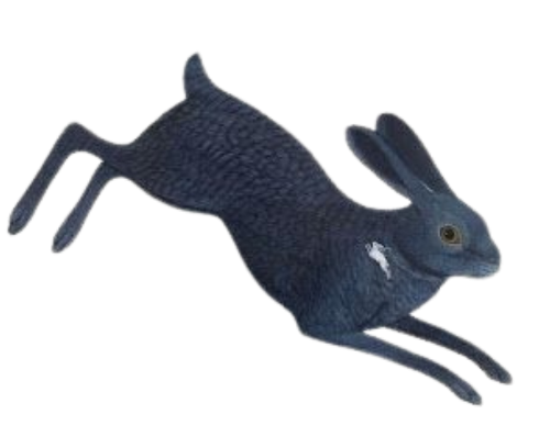 @hawnting's Pin Board Image