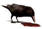 @halloween's Pin Board Image