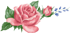 @Is-this-what-we-pictured's Pin Board Image