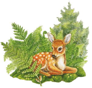 @Is-this-what-we-pictured's Pin Board Image