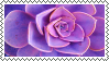 @Is-this-what-we-pictured's Pin Board Image