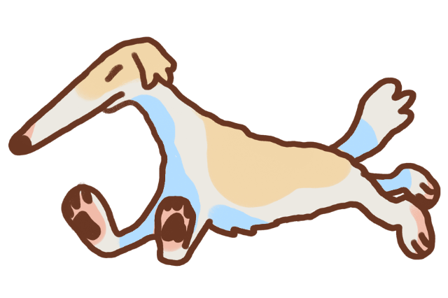 Charodei's Page Doll