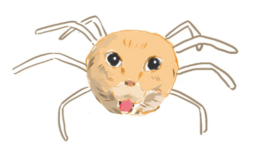 @Melokeo's Pin Board Image