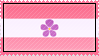 @spypigeon's Pin Board Image